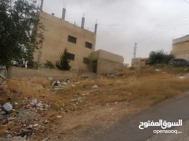 نادي السباق ماركا الجنوبية