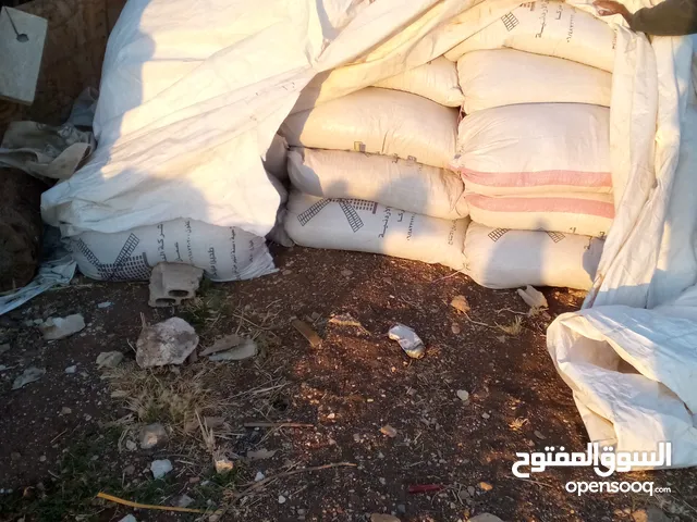 يوجد تبن بيقا للبيع العدد تقريبا 250اشول