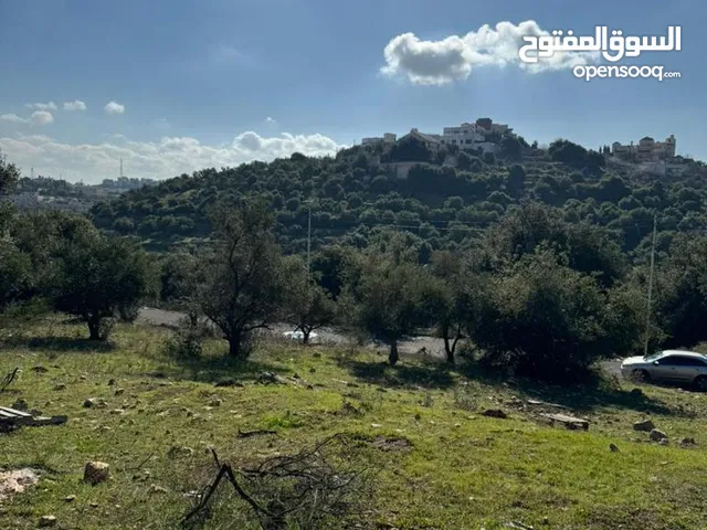 ارض في بدر الجديدة بإطلالة دائمة