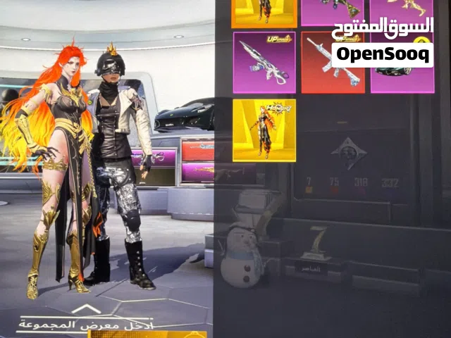 Pubg Accounts and Characters for Sale in Amman