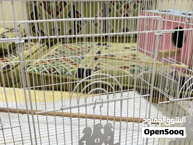 اقفاص ثنين البيع