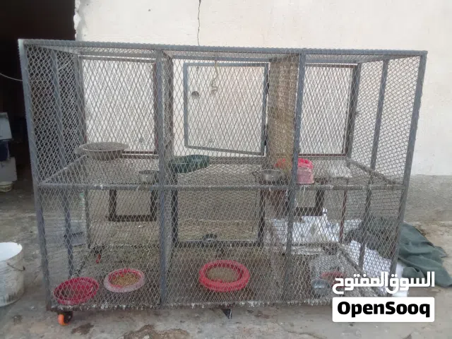 قفص فيه 6 بارتيات