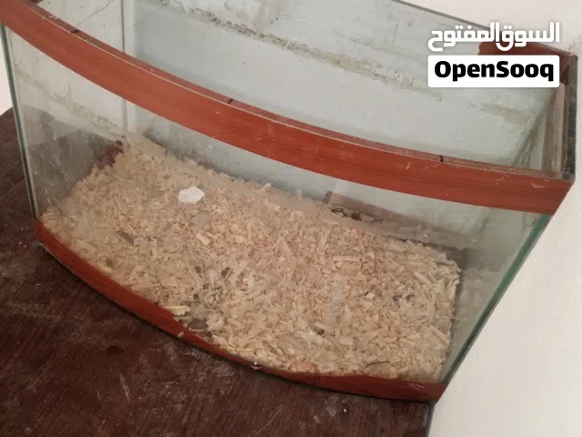 حوض للأسماك كبير وكاله