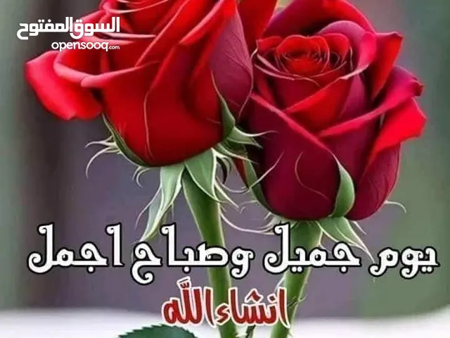 احمد