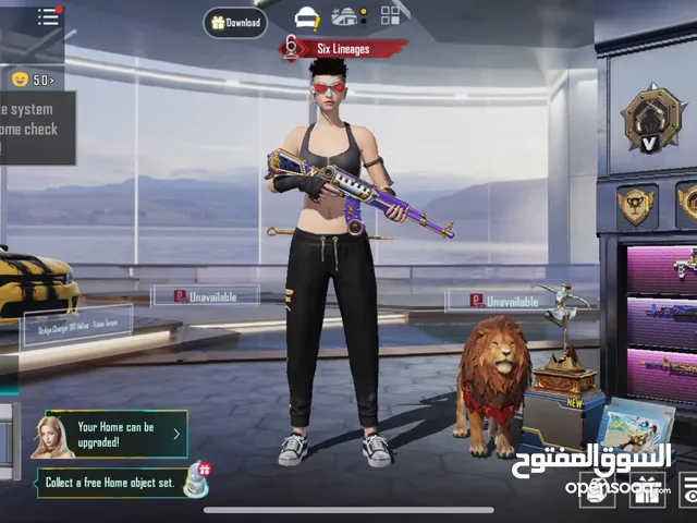 Pubg Accounts and Characters for Sale in Dubai