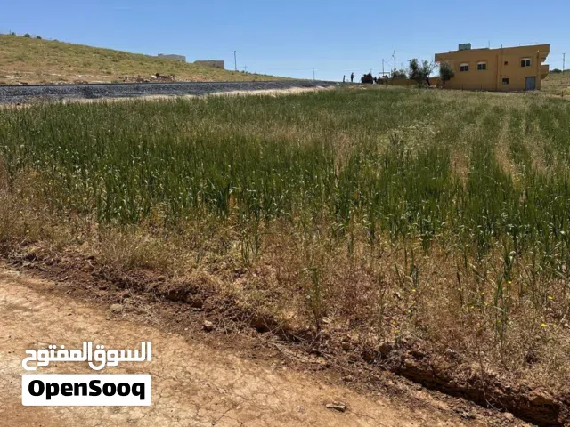 Farm Land for Sale in Madaba Other