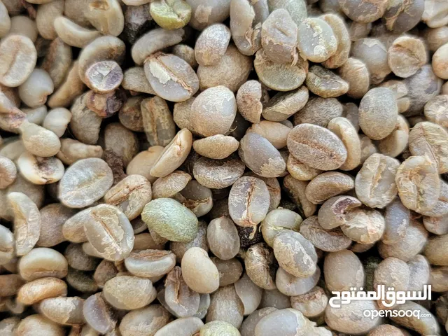 للتصدير البن