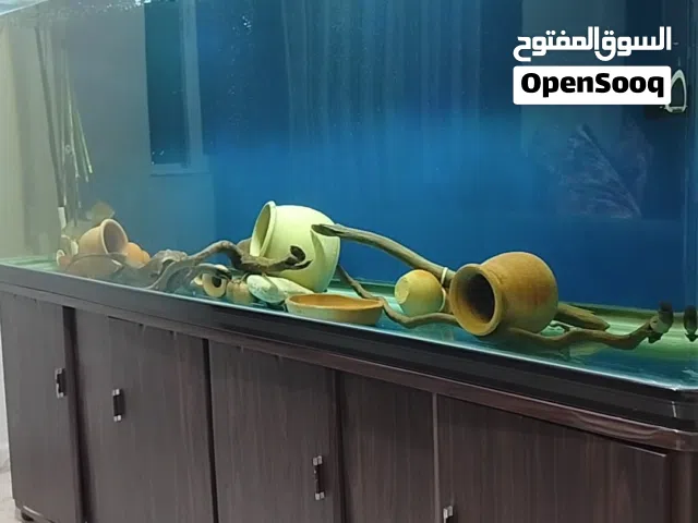 حوض سمك أجنبي مترين للبيع