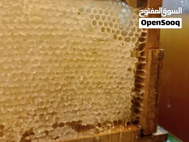 بيع وشحن جميع أنواع العسل وعصير العنب بكميات كبيرة