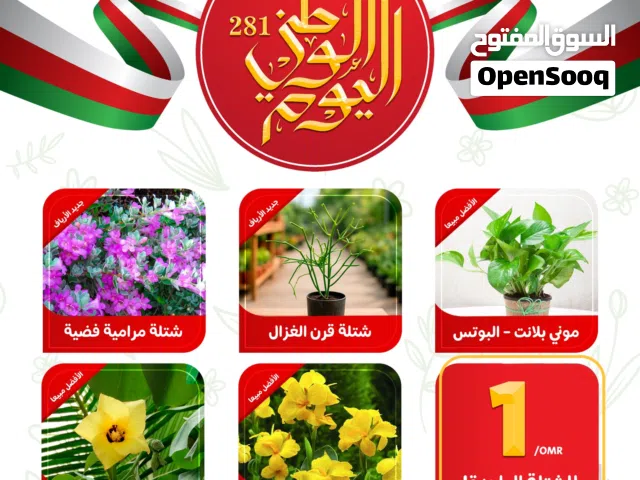 عروض اليوم الوطني العماني من مشتل الأرياف - شتلات وأشجار داخلية وخارجية بأسعار مناسبة - الحمضيات
