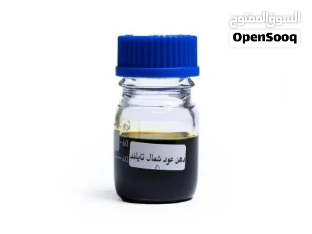 شمال تايلند