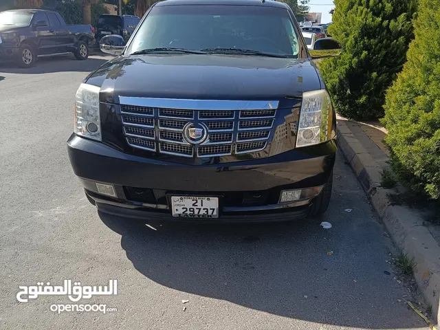 Used Cadillac Escalade in Amman