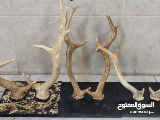 لتزيين المنازل والمجالس و المتاحف