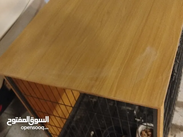 قفص كلاب شبه جديد