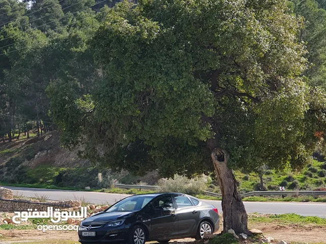 Used Opel Astra in Amman