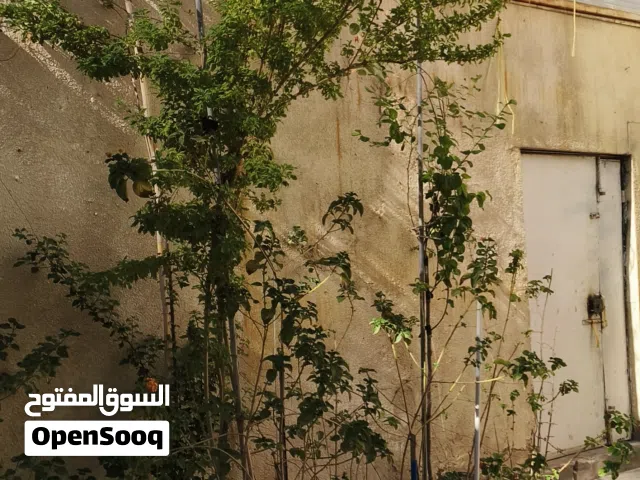 بيت للبيع في الاصمعي الجديد قرب سوق