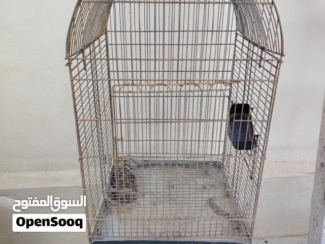 قفص كاسكو كبير للبيع بسعر مناسب