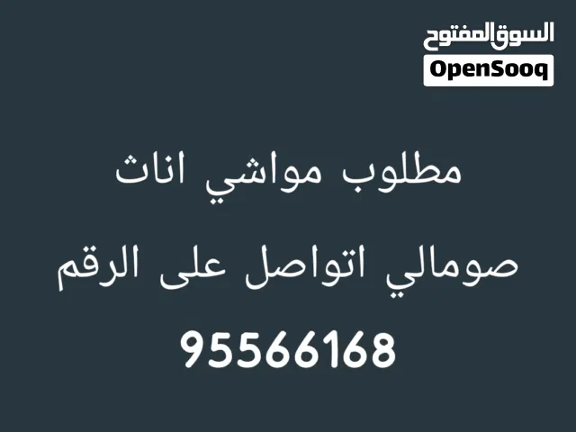 مواشي مطلوب