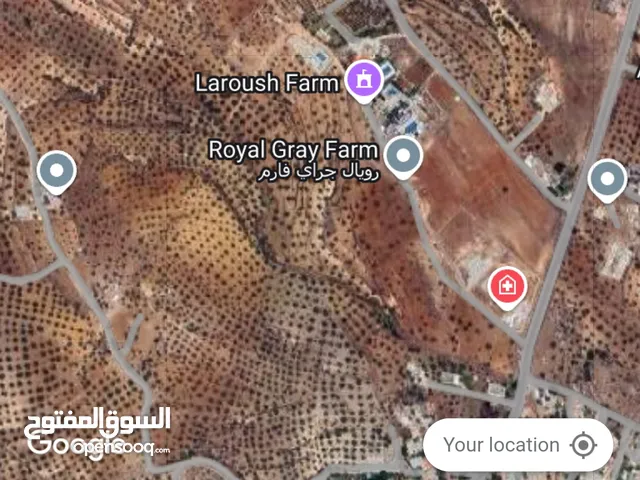 Farm Land for Sale in Salt Seehan