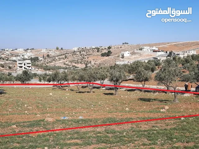 Residential Land for Sale in Zarqa Rajm Al Shawk