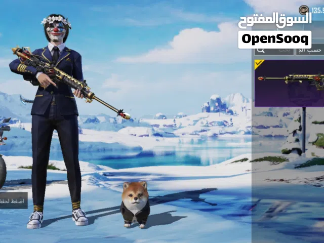 Pubg Accounts and Characters for Sale in Mecca