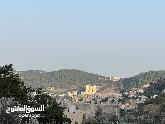 Hosam Momani