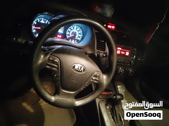 كياء فورتي 2014