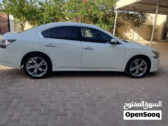 مكسيما موديل 2014