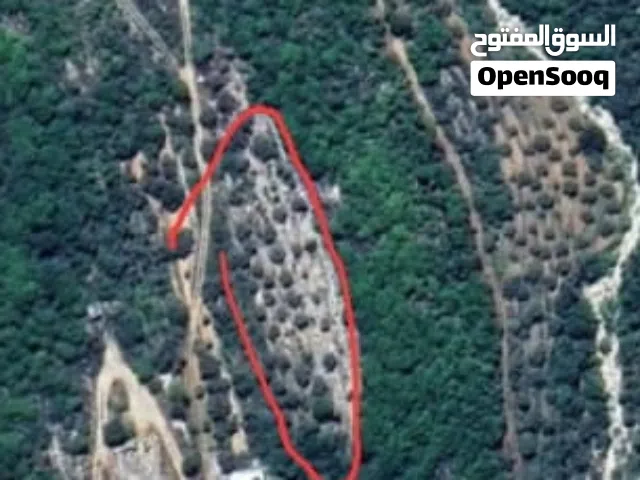 Farm Land for Sale in Batroun Other