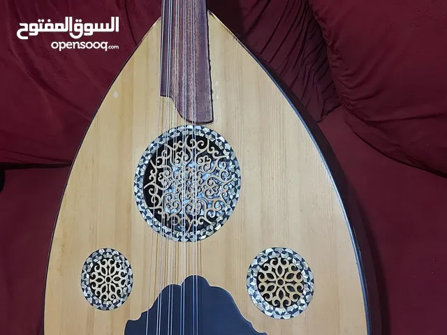 عود كهربائي للبيع مع شنته مبطنه