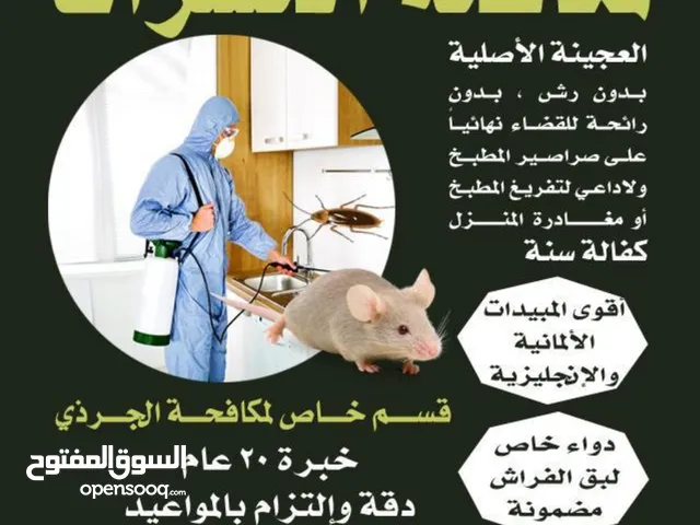 مكافحة حشرات وقوارض  شركة الاطلسي جميع مناطق الكويت خدمة 24ساعه  رش بدون رئحه مع كفاله سنه