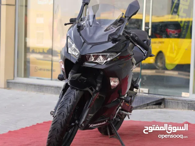 2019 Kawasaki Ninja 400