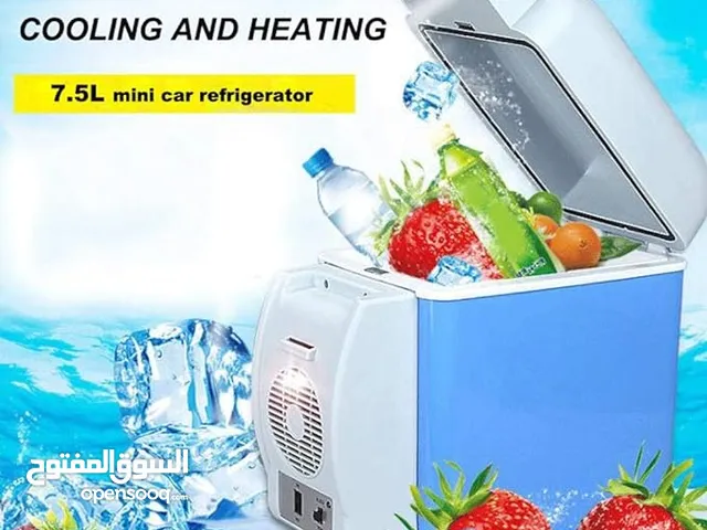 Today Top Trending Best Portable Mini Car Refrigerator