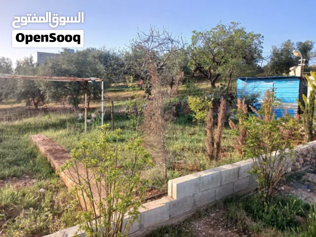 2 Bedrooms Farms for Sale in Mafraq Rhab