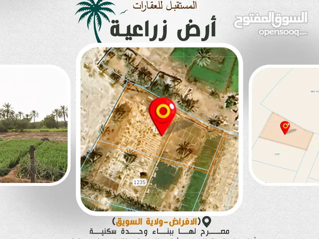 أرض زراعية (الافراض-ولاية السويق) للبيع