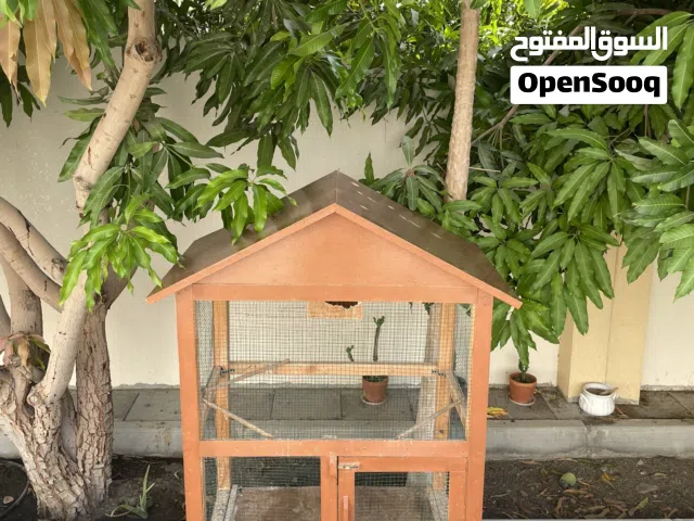 قفص بغيغوات وطيور