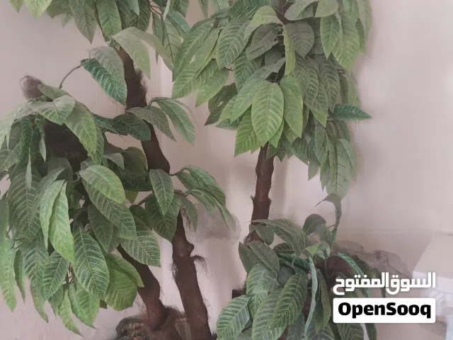 شجره اصطناعية  للبيع