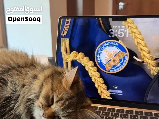 قطوة انثى