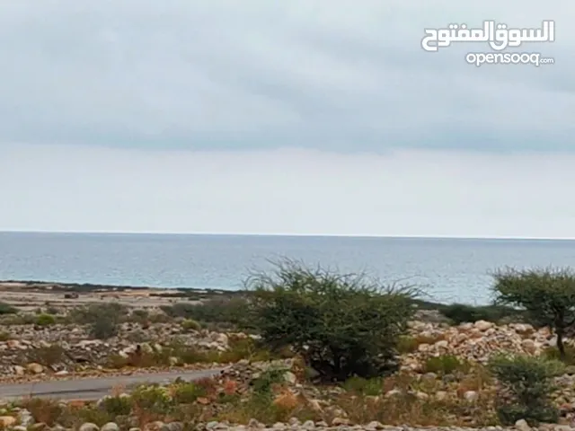 Sea view land for sale in Sifa