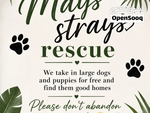 Need a home for your dog?