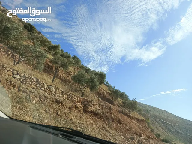 Farm Land for Sale in Salt I'ra