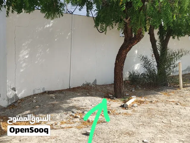 All stuff available good quality All kind of stuff available Dubai Sharjah Abu Dubai city lo