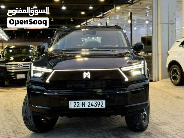 2026 دونج فينج اخرى