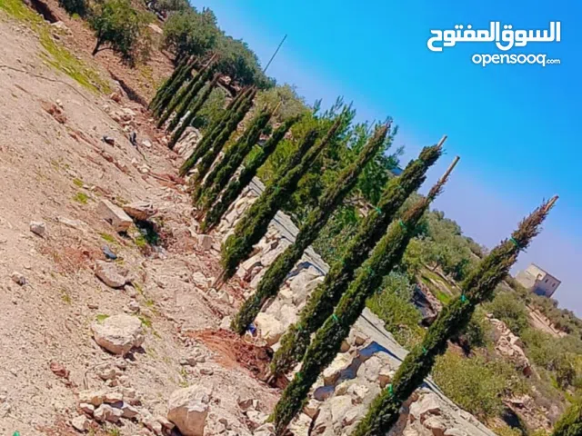 1 Bedroom Farms for Sale in Amman Al-Mashqar