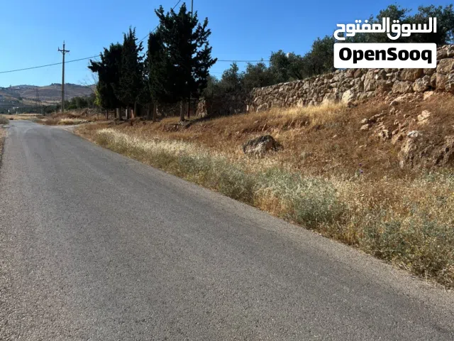 Mixed Use Land for Sale in Jerash Unaybah