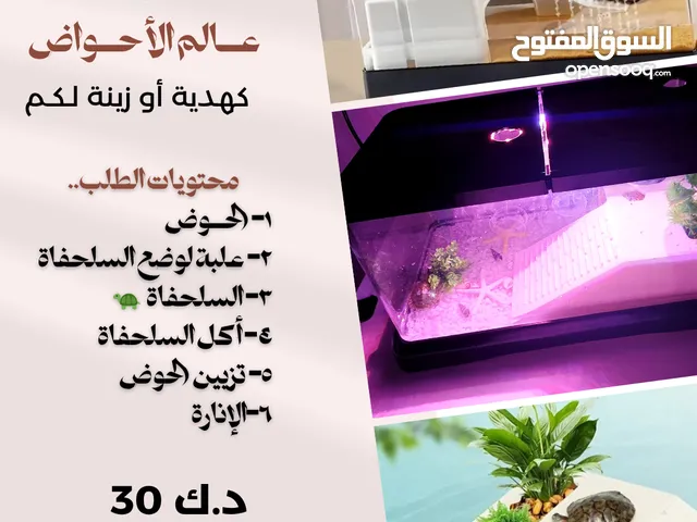 عــالم الأحــواض.. أحــواض السلاحف