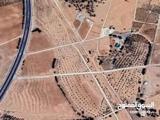 Farm Land for Sale in Mafraq Ain wa Al-Ma'mariyyeh