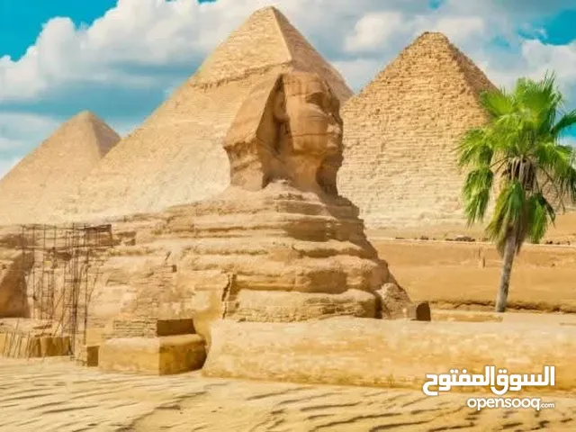 مدرسه انترناشيونال للبيع بالقاهره