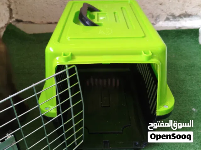 بوكس قطط صغير