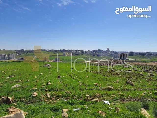 Residential Land for Sale in Amman Hjar Al Nawabilseh